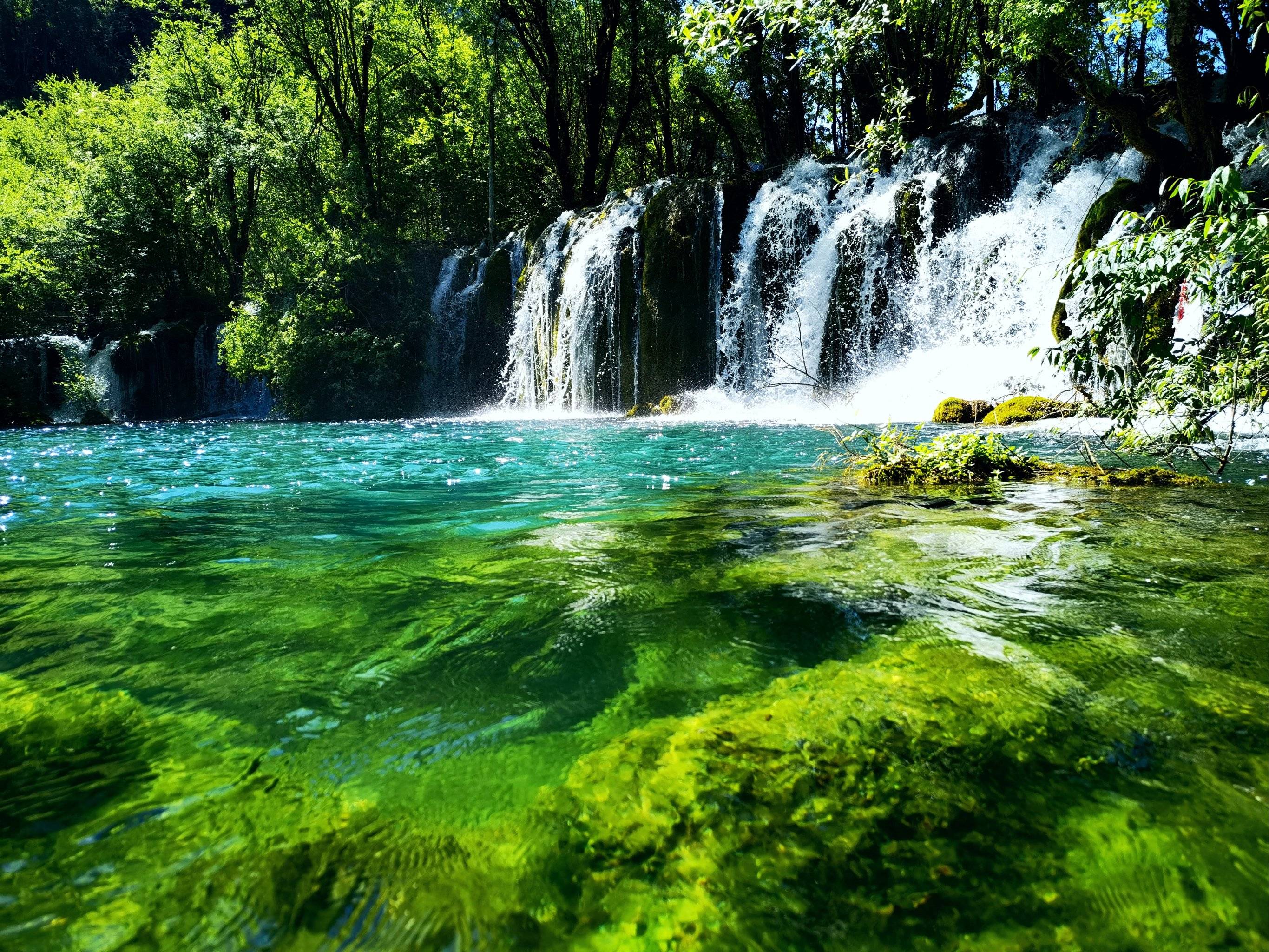 维尼修斯左, 达到 维尼修斯左, 达到